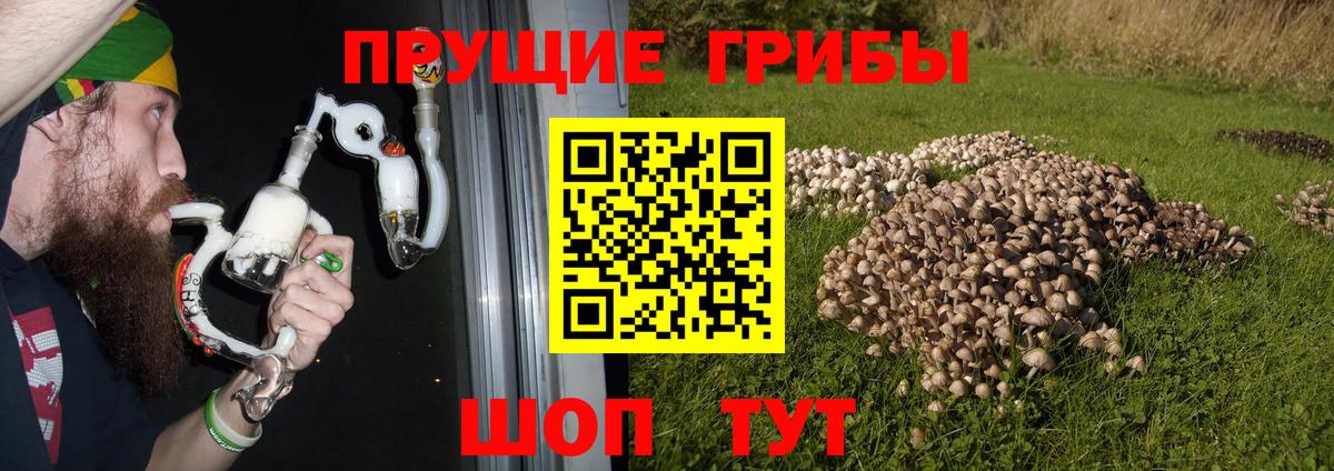 Волжский  Галлюциногенные грибы MAGIC MUSHROOMS  Вход с VPN 